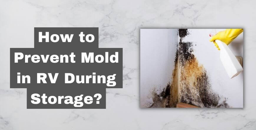 How to Prevent Mold in RV During Storage